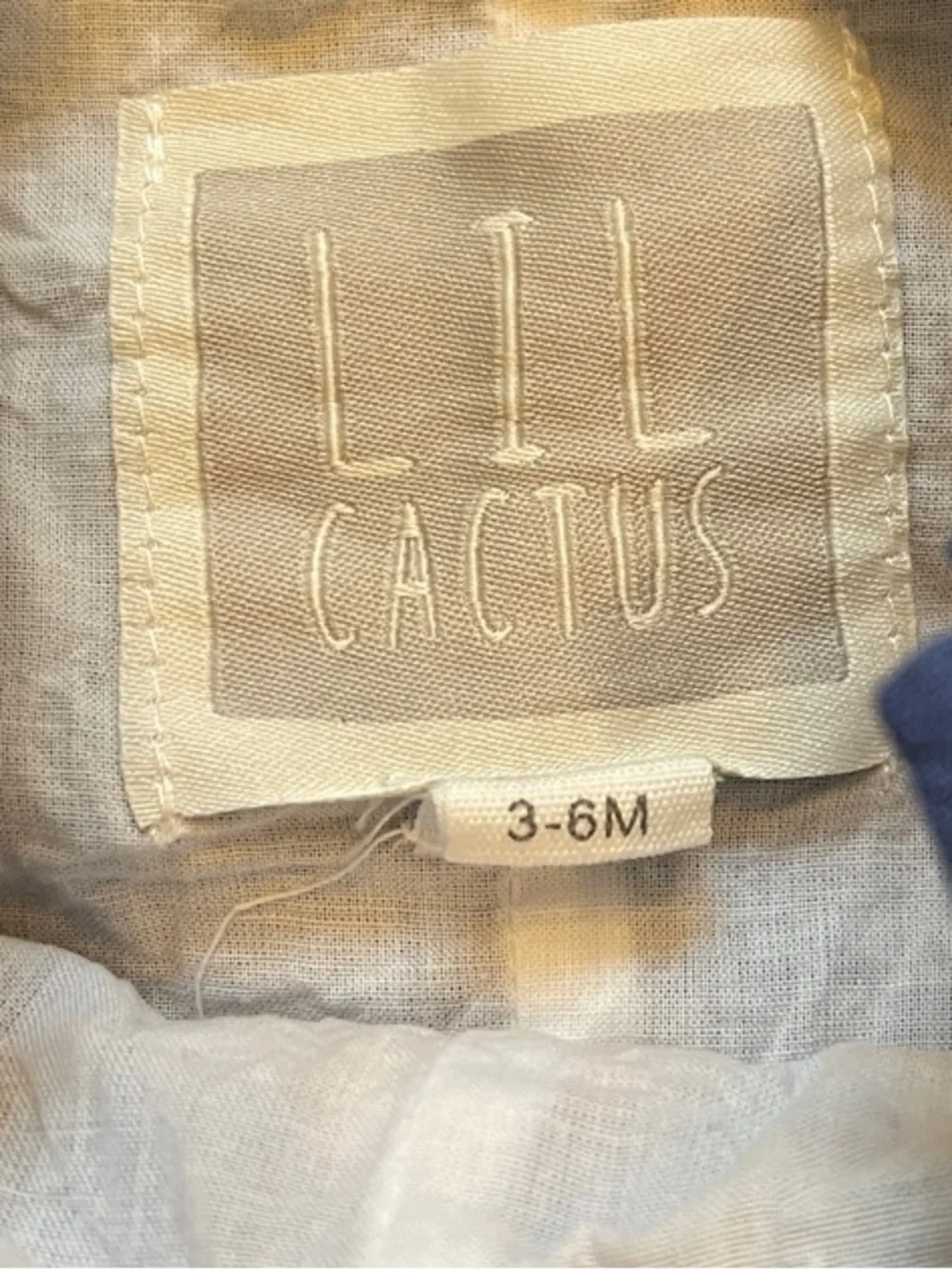 Lil Cactus Blue Baby Thanksgiving Smocked Romper